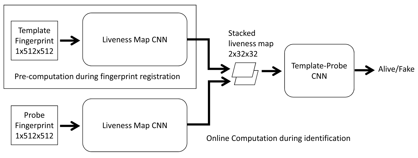Figure description